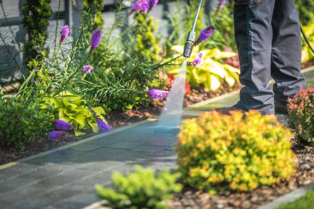 Best Boat and Dock Cleaning  in Grottoes, VA